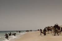 Кадр Черное золото