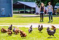 Кадр Под куполом