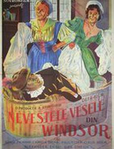 Веселые виндзорские вдовушки