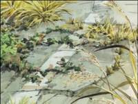 Кадр Дневник поездки в Иокогаму за покупками (видео)