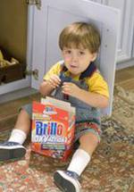 Престон Шоурс фото