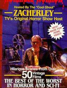 Horrible Horror (видео)