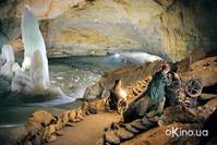 Кадр Биби – маленькая волшебница и тайна ночных птиц