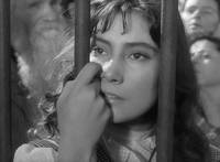 Кадр Летят журавли