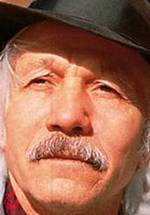 Михай Волонтир фото