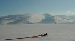 Кадр из фильма "Ночь молчания" - 1