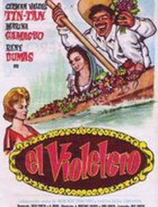 El violetero