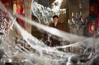 Кадр Мерлин