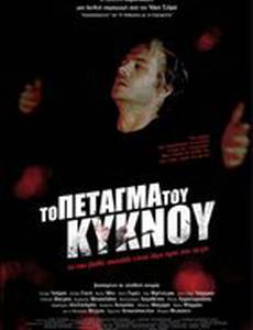 Полёт лебедя