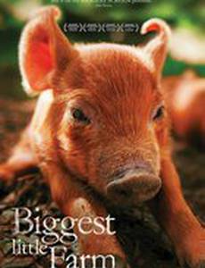 Самая большая маленькая ферма
