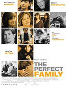 Идеальная семья