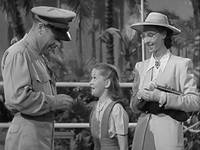 Кадр Остров Уэйк