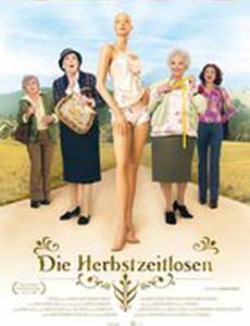 Поздние цветы