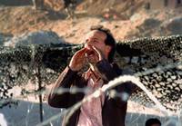 Кадр Тигр и снег