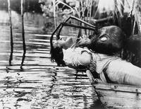 Кадр Империя муравьев