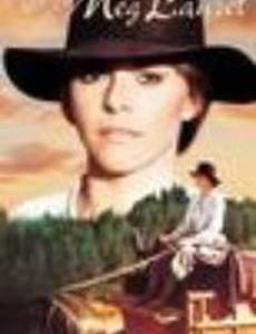 The Incredible Journey of Doctor Meg Laurel