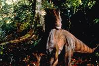 Кадр Затерянный мир