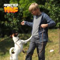 Кадр Фокстер и Макс