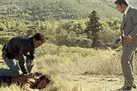 Кадр Французский транзит