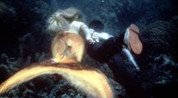 Кадр из фильма "Всплеск" - 2