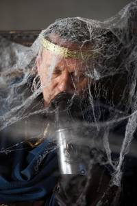 Кадр Мерлин