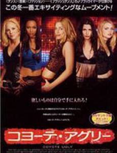 Бар «Гадкий койот»