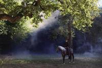 Кадр Гетьман