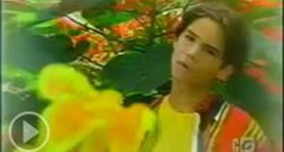 Вступительные титры