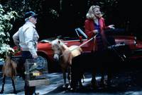 Кадр Потоки любви