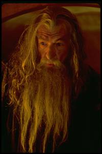 Кадр Властелин колец: Братство кольца