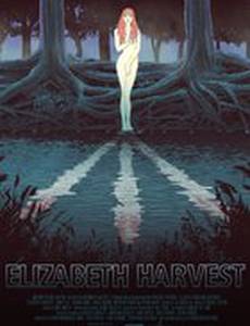 Медовый месяц 