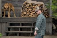 Кадр Стрелок