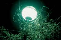 Кадр Auf demselben Planeten