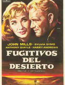 Трудный путь в Александрию