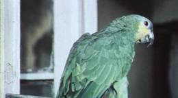 Кадр из фильма "Наградить (посмертно)" - 2