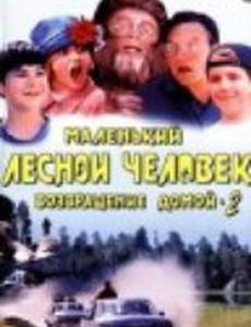 Маленький лесной человечек 2: Возвращение домой