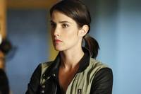 Кадр Агенты «Щ.И.Т.»