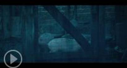 ТВ-ролик №1