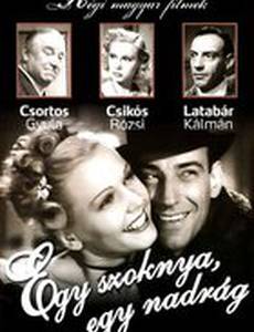 Одна юбка, одни брюки