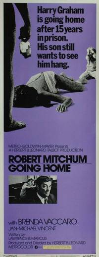 Постер Иди домой