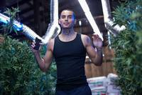 Кадр Грейсленд