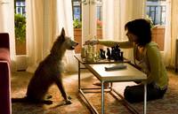 Кадр Дом у озера