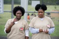 Кадр Оранжевый — хит сезона