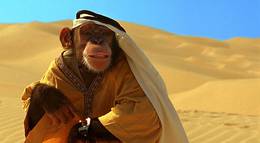 Кадр из фильма "Лучший друг шпиона" - 2