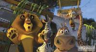 Кадр Мадагаскар 2