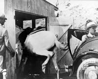 Кадр Каникулы господина Юло