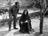 Кадр Воспоминание о гранатовом дереве