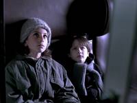 Кадр Пейзаж в тумане