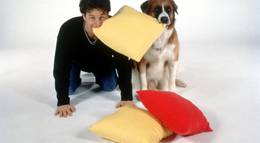 Кадр из фильма "Везучий пес" - 2