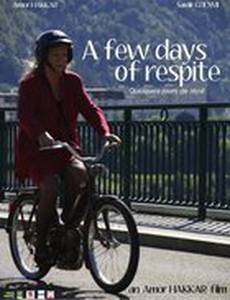 Несколько часов передышки